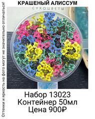 c55ae9566e324a2b8e3974ef5d1a3b4c
