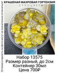 c6d626f60dd046859785eb09fd66bd2e