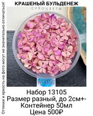 c9c72f1d37db4fa7adf6907c9c2ea24d