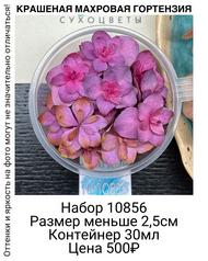 ca19bd4998e54021bfb79601a6d63791