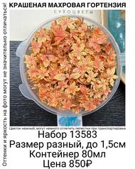 cb18132b8401420fb510b0d190e3ff0f