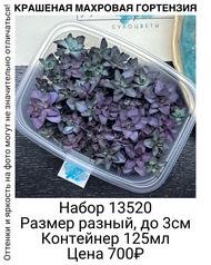 d047a44b44fe4bda89355ab9f78a900b