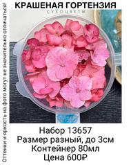 d06d59c8ee6844c6b79bd1016656665a