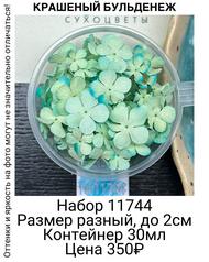 df284d86a51f447e9108204d47348846