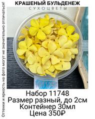 e7a4a5591e514b55a47dbdec6fbaddd1