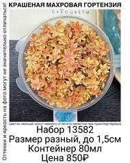 e92cea95b1ab482dab193c337f13b895