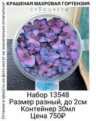 e955cf873dd04b1c80bf0a9df9f1f41f