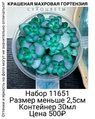 e98bff9603d34e12af91caff9b987b00