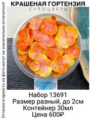 ebdb3d7dabe14e88a7afd945752e81d9