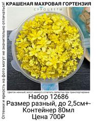 eee982c89d5c47d6b477ab161f8159c0