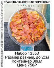 f6858e58fd8b4299ab0187211fad63db