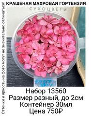 f6f51d53edb04c488ad69fcdf588a741