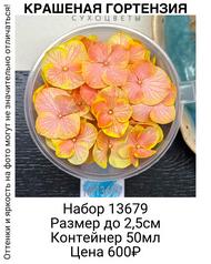 f8acc9d2852648fba3d46f7a13781b17