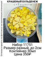 fce1b8c61ca54e1aa64b995f8c2c7ba2