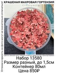 fd87c424ab8947c4929ecf63fcdc9fd6