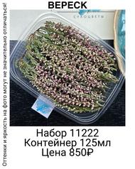 0626e8f74ed942e5b3403b2935a1a938