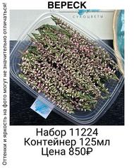 0665da4302b04efd88544b6727c2e463