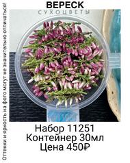 08a4ee71b06a49489a66de8154e3d958