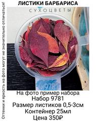 121774a6a4c94dbcb9e0e2dddaeeda51