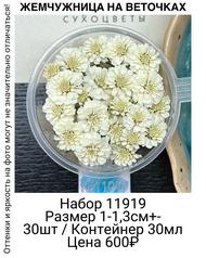 16e5bcf9833a4324a21be283f56afc00