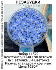 1cb2bf5c72484683a39dd8854abd9606