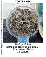 2120315a9d264d2ebe0cd25c23f43586