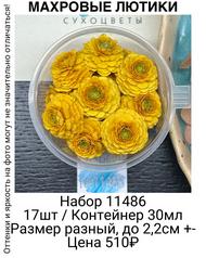 2402e2fd8e17402ebcb1f7a1bca8e71b