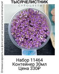 24ee6f808a614bb08a362b5a3eb9b9d3