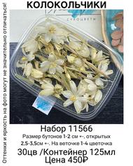 24fa57a3399d45f4b5a654869aded1be