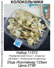 253e5505da0442ca86027a4b2a40fc4c