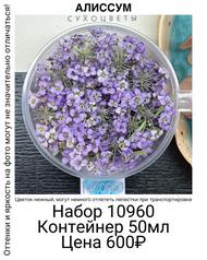 25a19e884def408c91fe580f7074b515