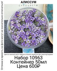 291c0eaae82442068da37c8c2a440ea7