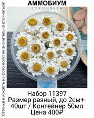 2a71f23c26354f53b6025790ef3579e2