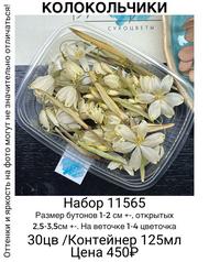 2c451adbd5a24328a885c1a38dedcb9b