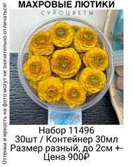 2ccad046fcf44a809a04fe418f428bfb