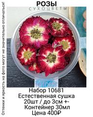 3a3e755874c04298a7aa6eb0b2195a98