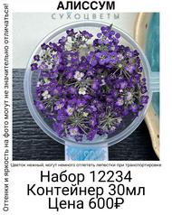 4663df3a5b7e4d04a60a18e4aa61a9e4