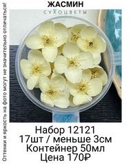 498c51384b9b4b409dff067fae17b342