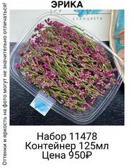 4a0153c57d2749dfbe6746ed66870001