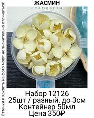 4c44a406f1c5479e82372762cc99806d