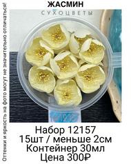 570a66862081423e9dc82fe5ce9a5c61