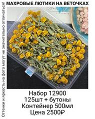590e727a35a6446481e750800b5ae02d