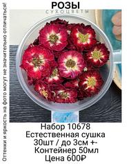 607722f52f1e40d6b7058d1295089ba8