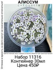 62bb970f3eb24cb5be5ea1b4a092157d