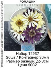 650272de595541b3a0d739fdd1b68026