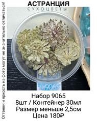 651693e593184a7e88939953289e8f30