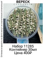 651c74486eb8413585b1b77b0432c865