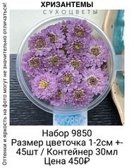 697c9f9c41d747b1936444e31dad4887