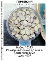 6984b0d988e84171914b88aa06c4b3a5