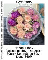 6adde60648904ce5a8c16d5c706b4c2b